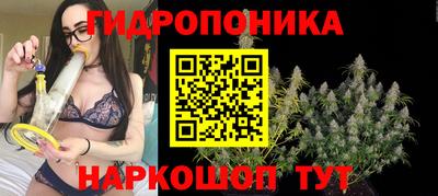 mdpv Владимир