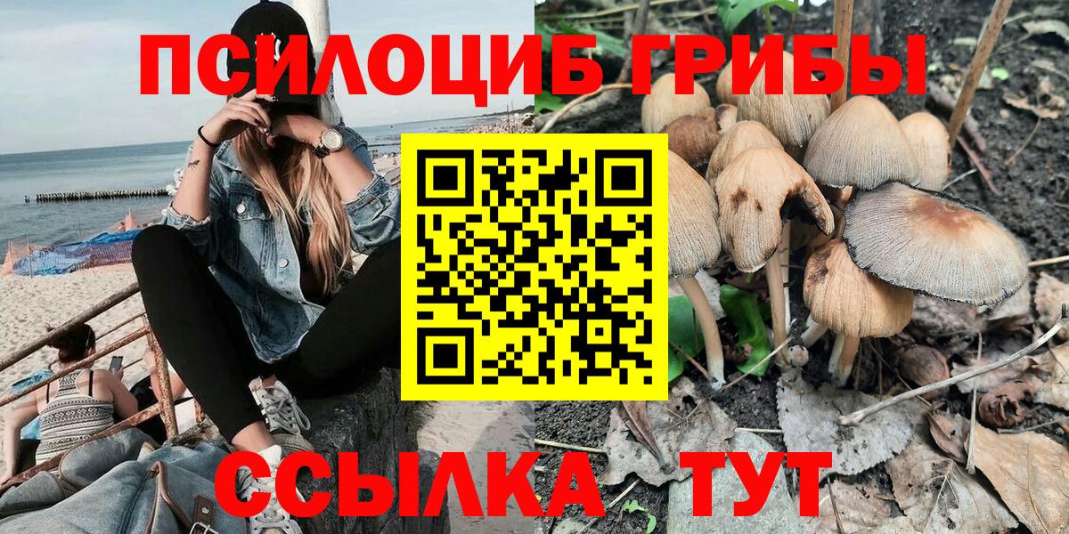 Галлюциногенные грибы MAGIC MUSHROOMS  Вход с VPN  Пушкино 